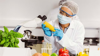 Food Safety Testing Market