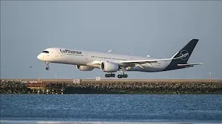 Due to Houthi missiles, Alitalia and Lufthansa extend suspension of flights to Israel.