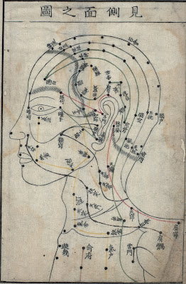 facial acupuncture points - profile view