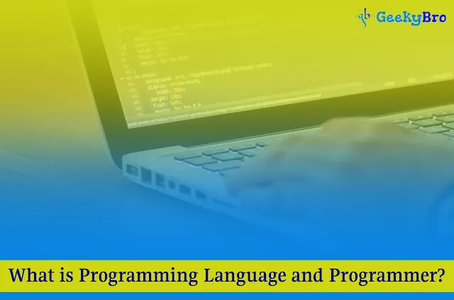 What is Programming Language and Programmer?