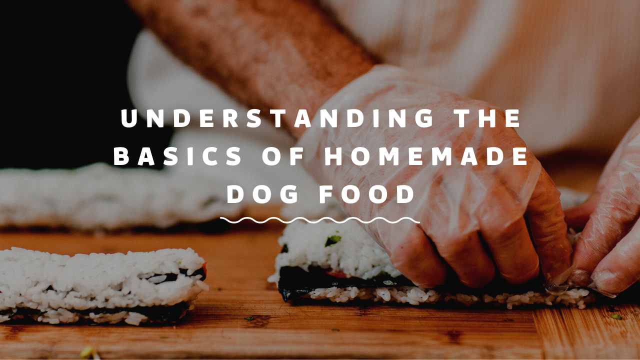 Understanding the Basics of Homemade Dog Food