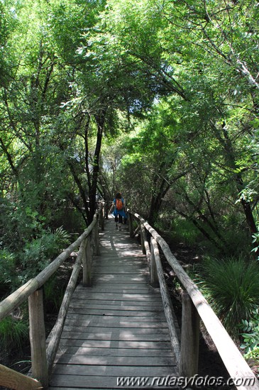 Sendero del Acebron