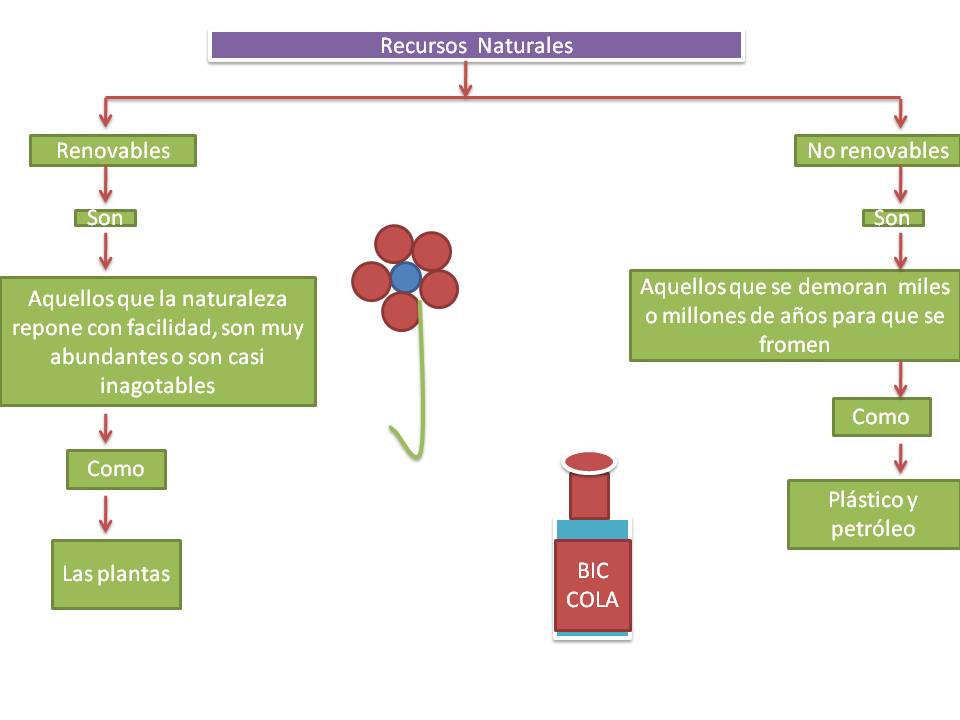 recursos naturales renovables. Recursos naturales y