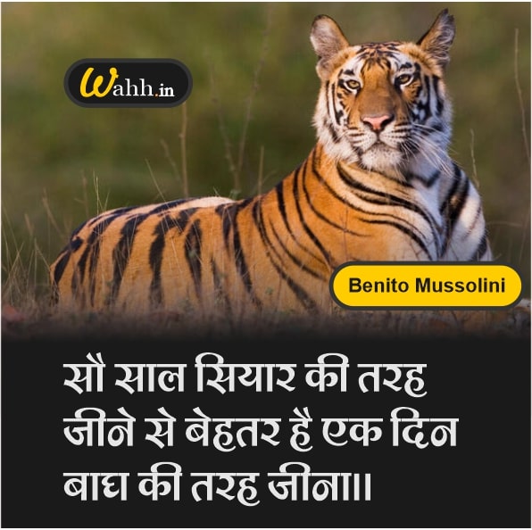 Tiger Quotes In Hindi