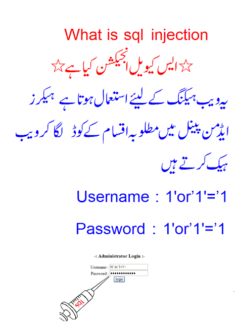 How to Hack WhatsApp Account