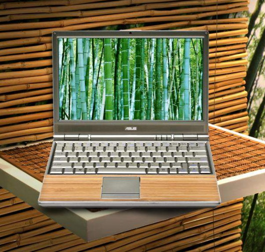 Bamboo Laptop4