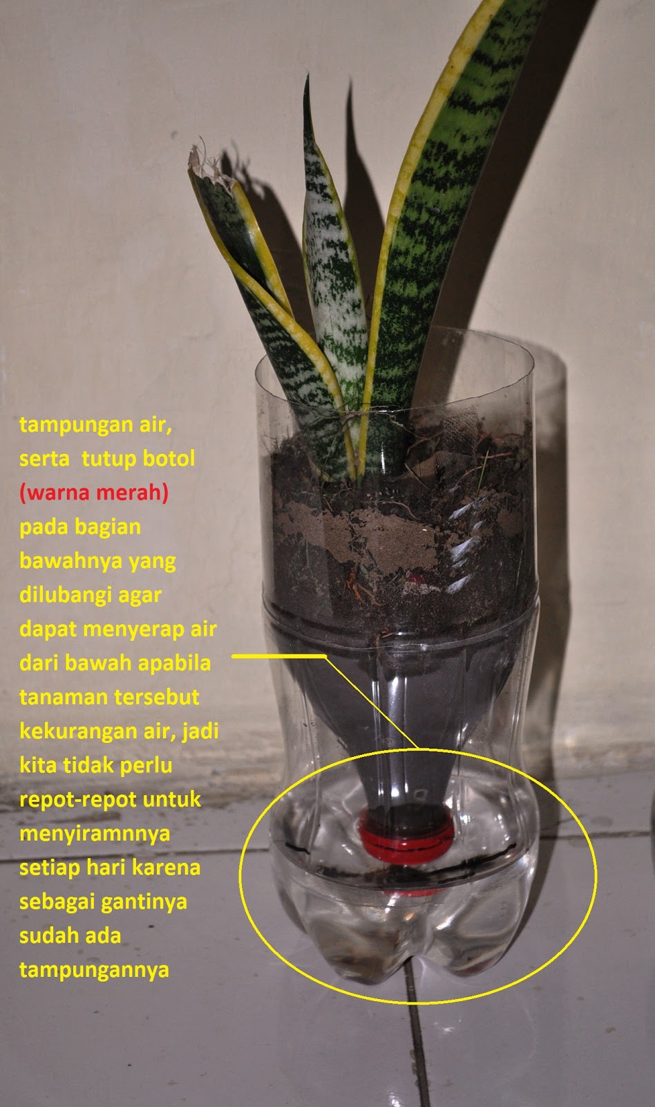 POT TANAMAN DARI BOTOL BEKAS (GO GREEN) | teknokratblogger