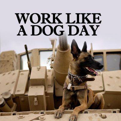 Work Like a Dog Day