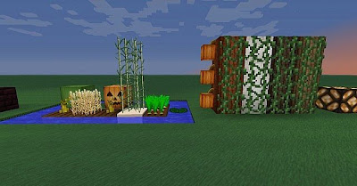 [Texture Packs] Soartex Revival Texture Pack for Minecraft 1.6.2/1.6.1
