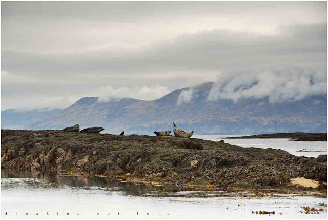 Isle of Muck, Scotland