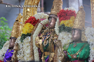 Sri Theliya Singar,Purattasi, sanivaram,Parthasarathy Perumal Temple,Purappadu,2016, Video, Divya Prabhandam,Sri Parthasarathy Perumal, Triplicane,Thiruvallikeni,Utsavam,