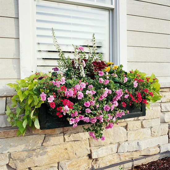 My Enchanting Cottage Garden: 10 Easy, Beautiful Window ...