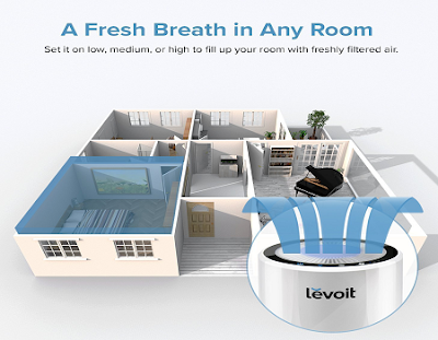 best air purifier large room
