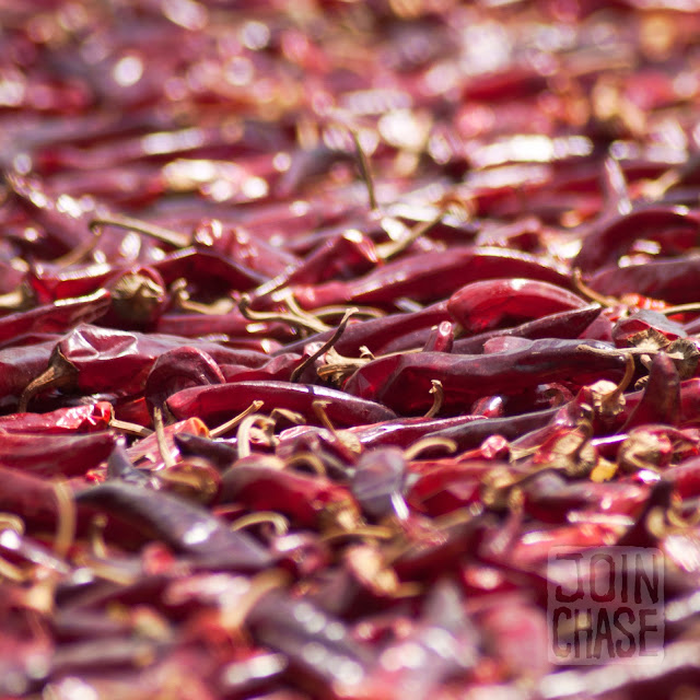 Peppers drying on a sidewalk in Damyang, South Korea.