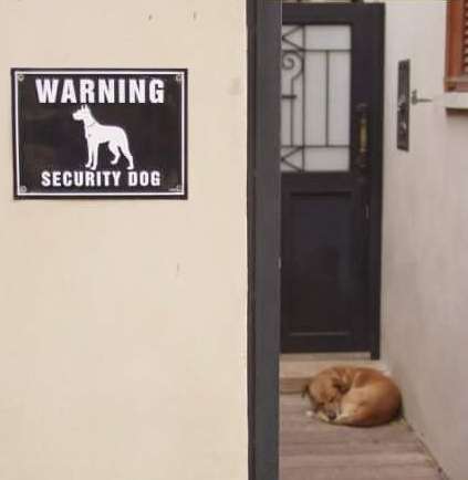 funny dog warning sign