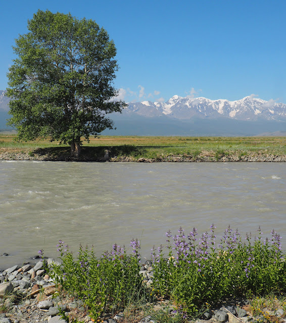 Горный Алтай, Курайская степь – река Чуя