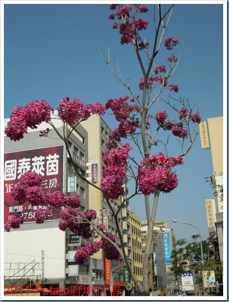 DSCN8846
