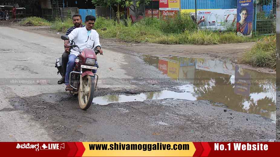 Shimoga Bhadravathi Highway