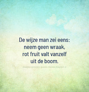 afbeeldingen met wijze quotes