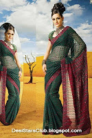 Latest Diwali Sarees Collection