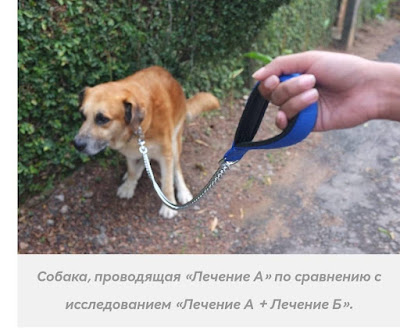 Исследование кака  🐕 какает...