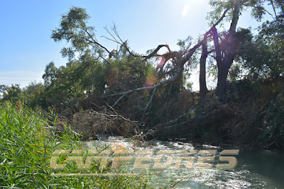 Río Tajo Aranjuez Pesca