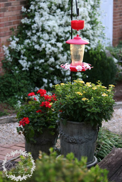 Red geranium and yellow lantana.