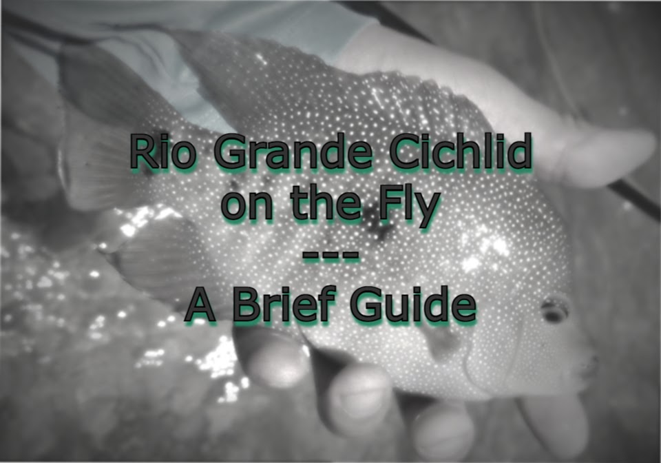 Rio Grande Cichlid on the Fly - A Brief Guide