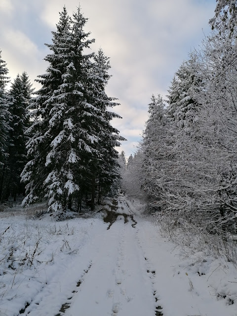 Sauerland wandern Wetter blog Schmallenberg Hunau X14 Astenweg Höhenflug