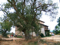 El Gurri Gros des del roure monumental