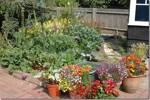 garden 004