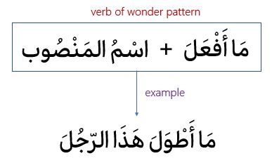 verb of wonder sentence pattern
