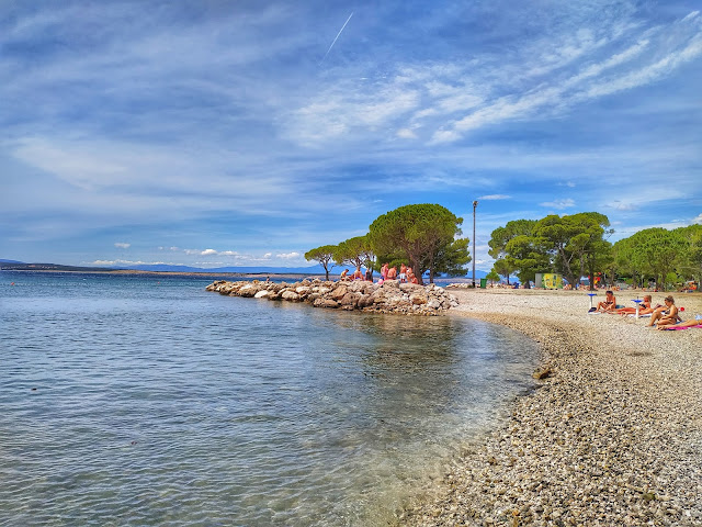 sosny na plaży w Crikvenicy, żwirowe zatoki, Chorwacja