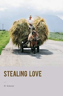 Stealing Love: A humorous Romantic Novel by H. Schreter