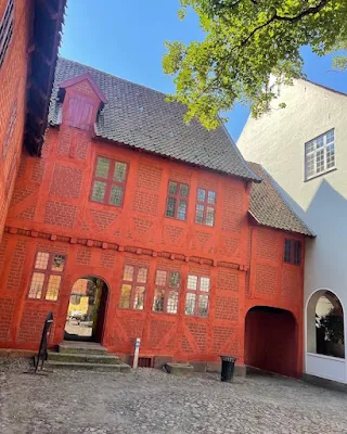 Odense Danimarca