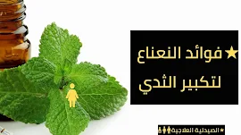 فوائد النعناع لتكبير الثدي