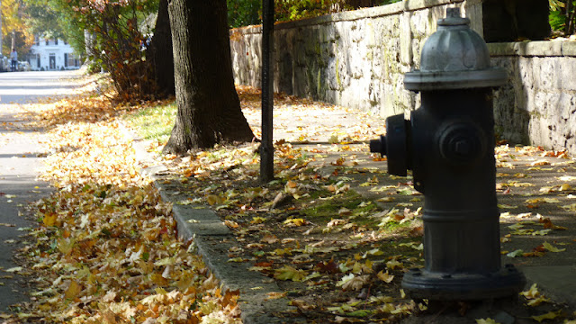 otoño en Boston