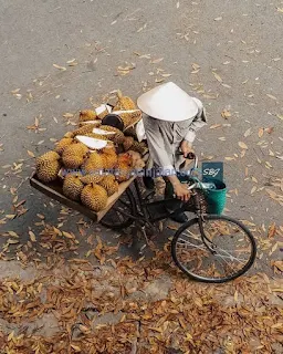 pedagang durian