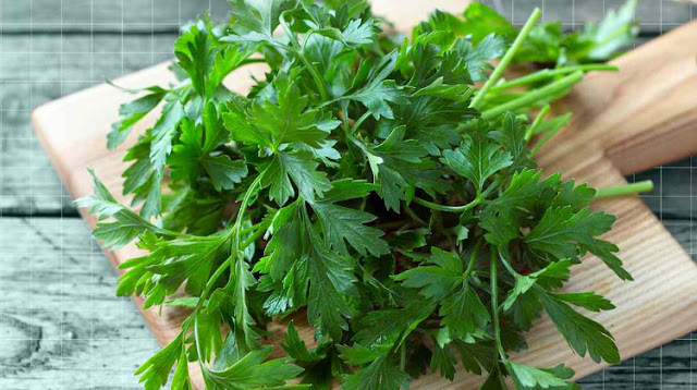 Wonderful parsley benefits for weight loss.
