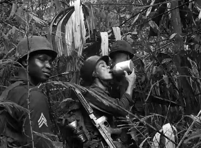 Vietnam war : Timeline, statistics and facts of war