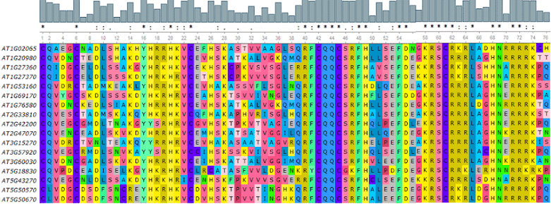 Multiple sequence alignment example