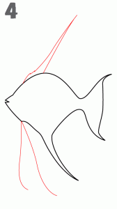 تعلم طريقة رسم سمكه في خطوط رسم
