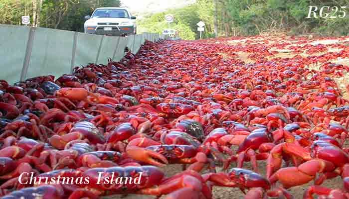 10, Pulau, Paling, Aneh, Di, Dunia