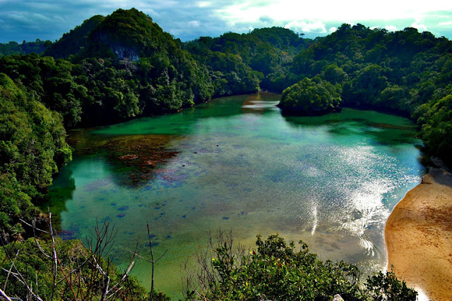 Pulau Sempu, Wisata yang Wajib Dikunjungi di Malang