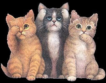 three cat