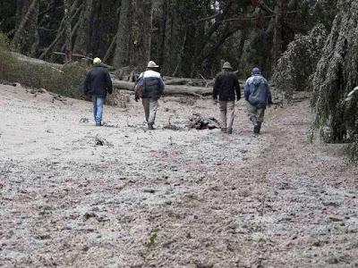 Sapag definió las acciones para la emergencia