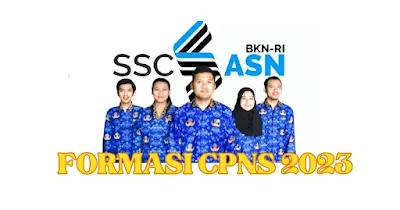 FORMASI CPNS PPPK 2023