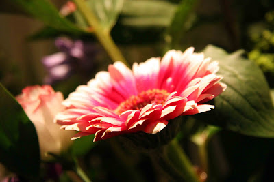 Wedding Flowers at The Villa, Wrea Green