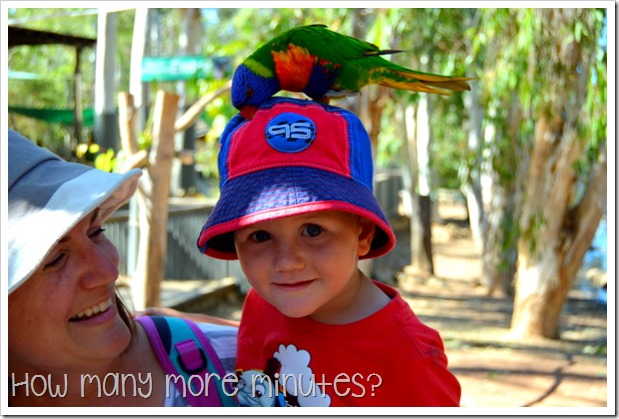 Billabong Sanctuary | How Many More Minutes?