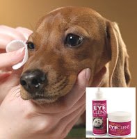 Dog Eye Doctor